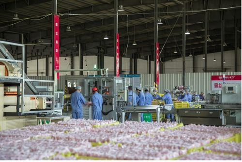 抖音電商 遇見好國貨 助力品牌煥新,傳統(tǒng)日化工廠在抖音商城完成轉(zhuǎn)型