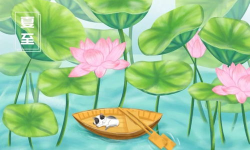 藥海淘科技節氣養生之夏至篇