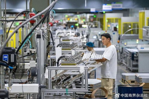 第四季度經濟金融展望 恢復向好趨勢不變